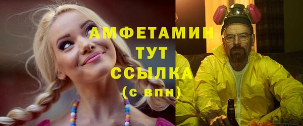 сатива Тобольск