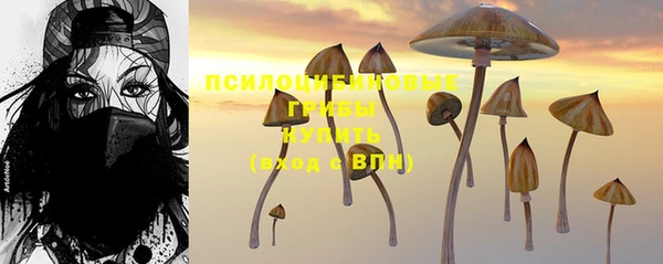 тгк Абдулино