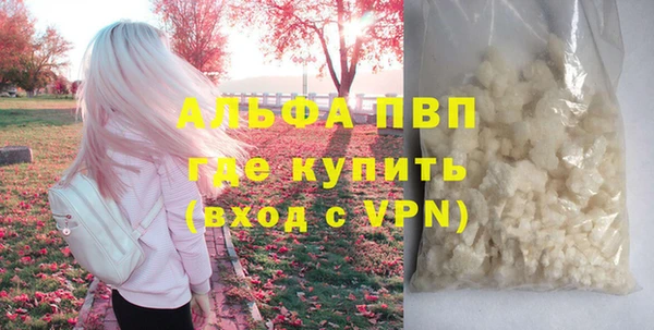 сатива Тобольск
