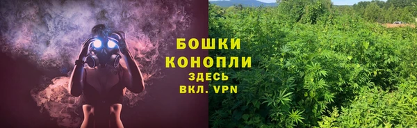 сатива Тобольск