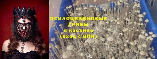 тгк Абдулино