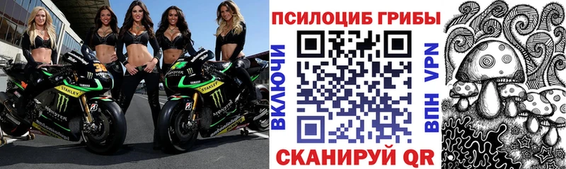 Псилоцибиновые грибы ЛСД Юрга